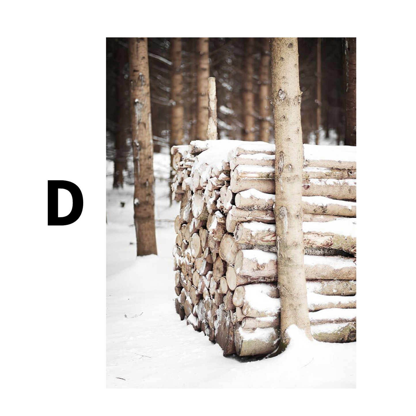 Winter Tannenzapfen Baumstämme Frostblätter Poster · Bilder Wohnzimmer · Wandbilder Schlafzimmer · Deko Print ohne Rahmen