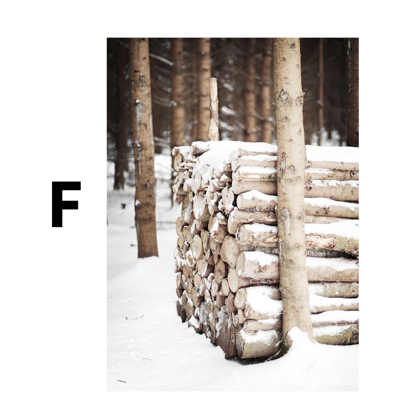 Poster Winter Holz Hütte im Schnee Rentier Tannenzapfen · Bilder Wohnzimmer · Wandbilder Schlafzimmer · Deko Print ohne Rahmen