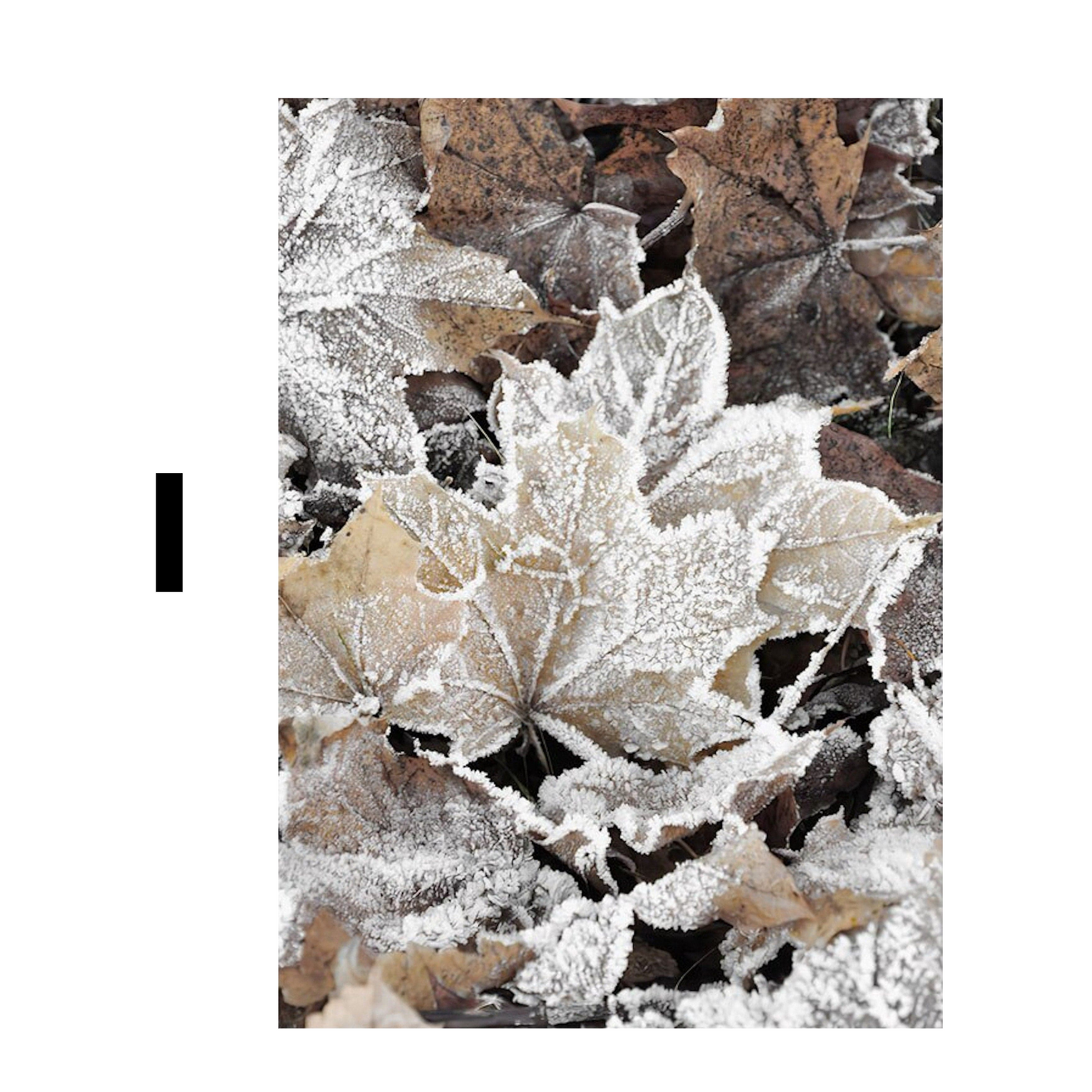 Poster Winter Holz Hütte im Schnee Rentier Tannenzapfen · Bilder Wohnzimmer · Wandbilder Schlafzimmer · Deko Print ohne Rahmen