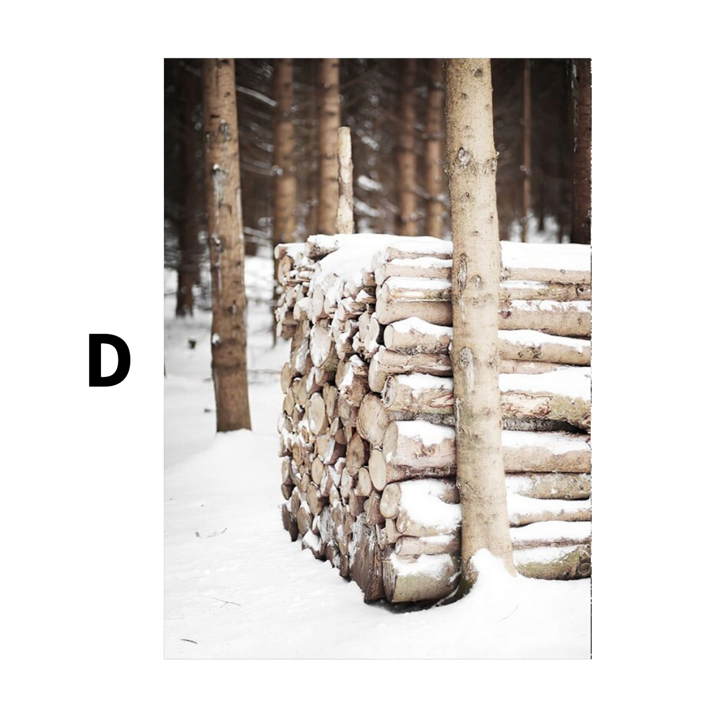 Winter Frostblätter Rentier Frostblätter Poster  · Bilder Wohnzimmer · Wandbilder Schlafzimmer · Deko Print ohne Rahmen