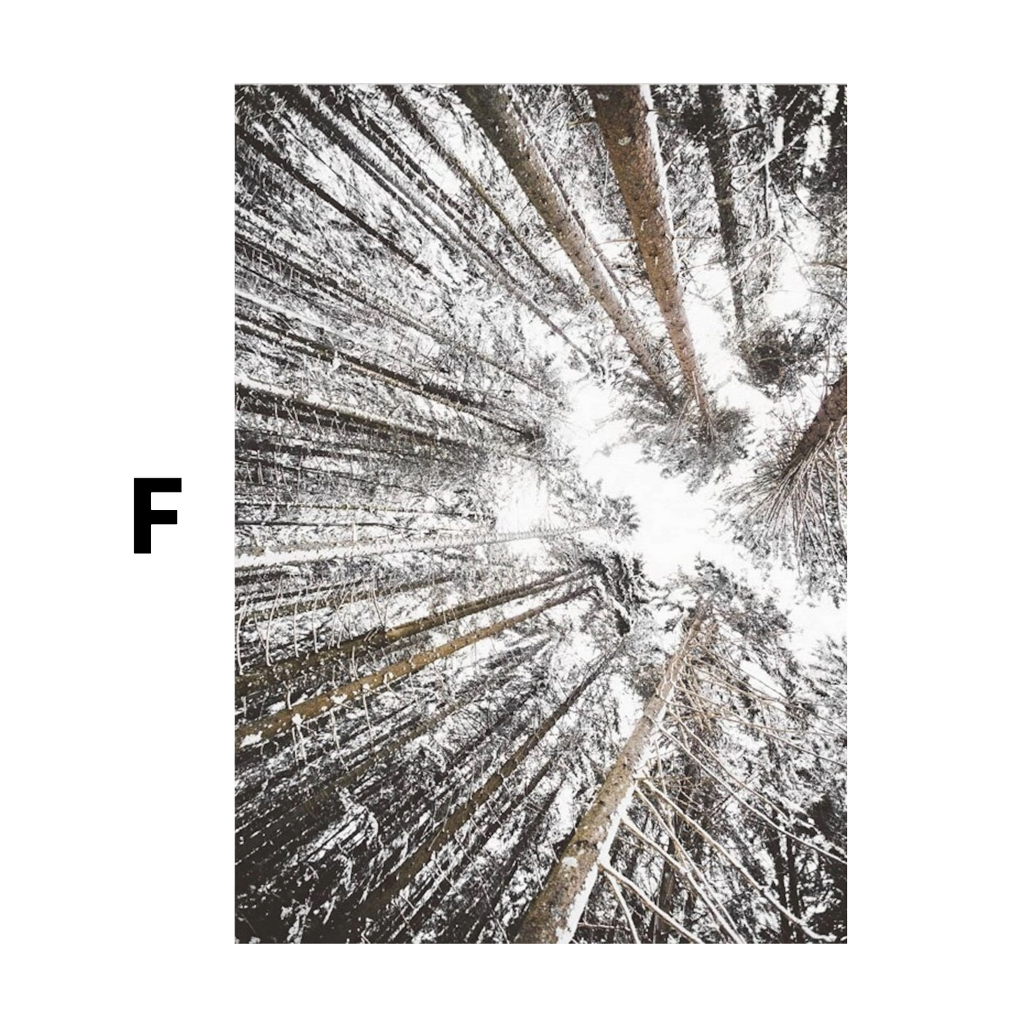 Winter Frostblätter Rentier Frostblätter Poster  · Bilder Wohnzimmer · Wandbilder Schlafzimmer · Deko Print ohne Rahmen