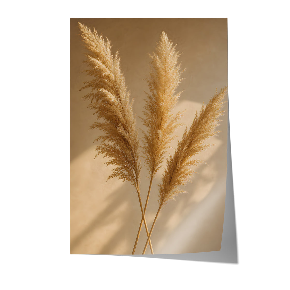 Poster mit drei goldenen Pampaswedeln mit langen Schatten auf warmbeigem Hintergrund auf weißem Hintergrund.