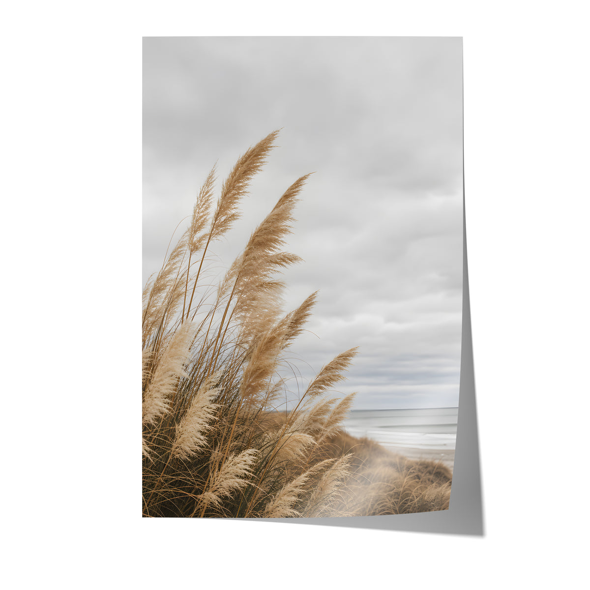 Poster mit goldbraunem Dünengras am Strand unter grauen Wolken auf weißem Hintergrund.