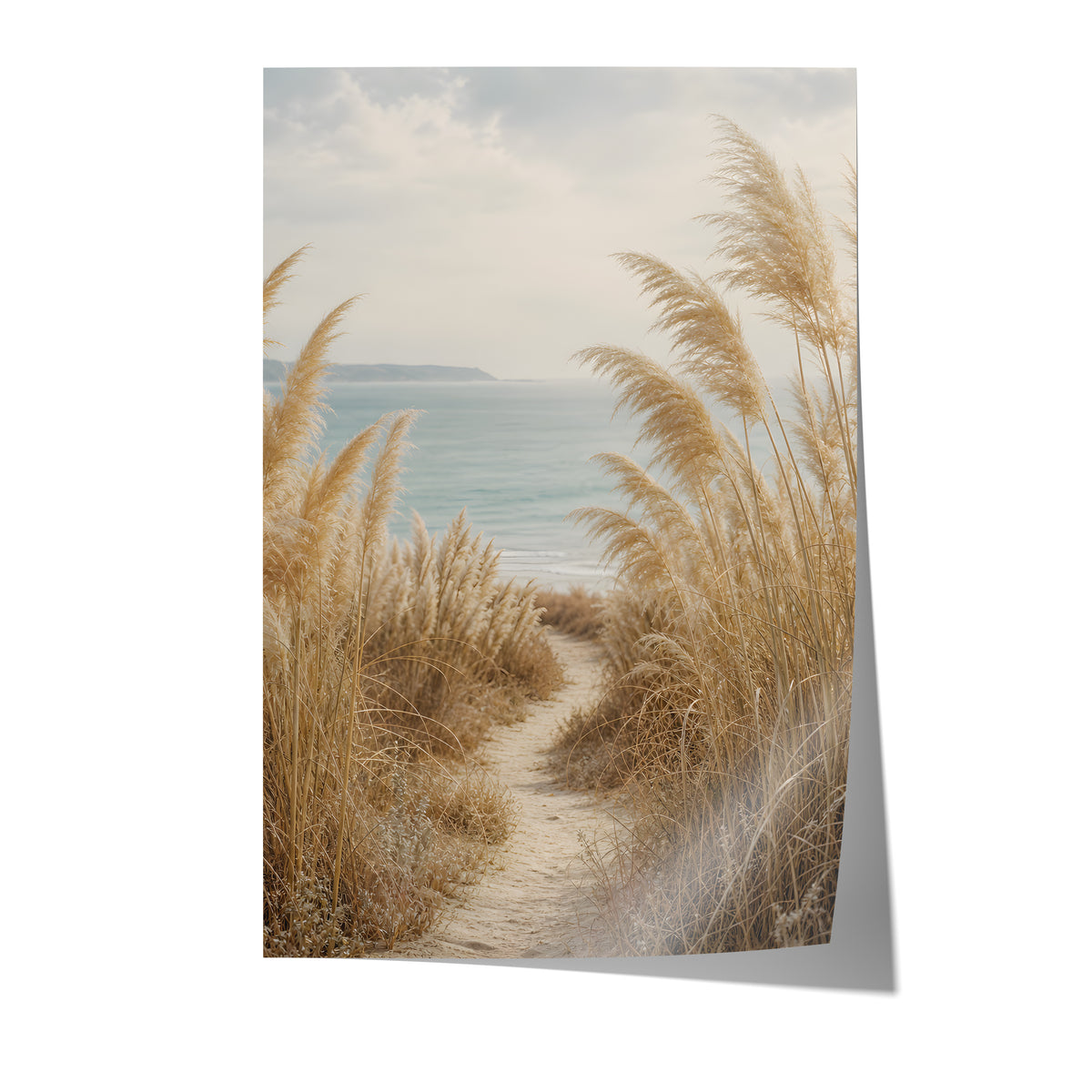 Poster mit einem schmalen Sandpfad zwischen Pampasgräsern zum blauen Meer auf weißem Hintergrund.