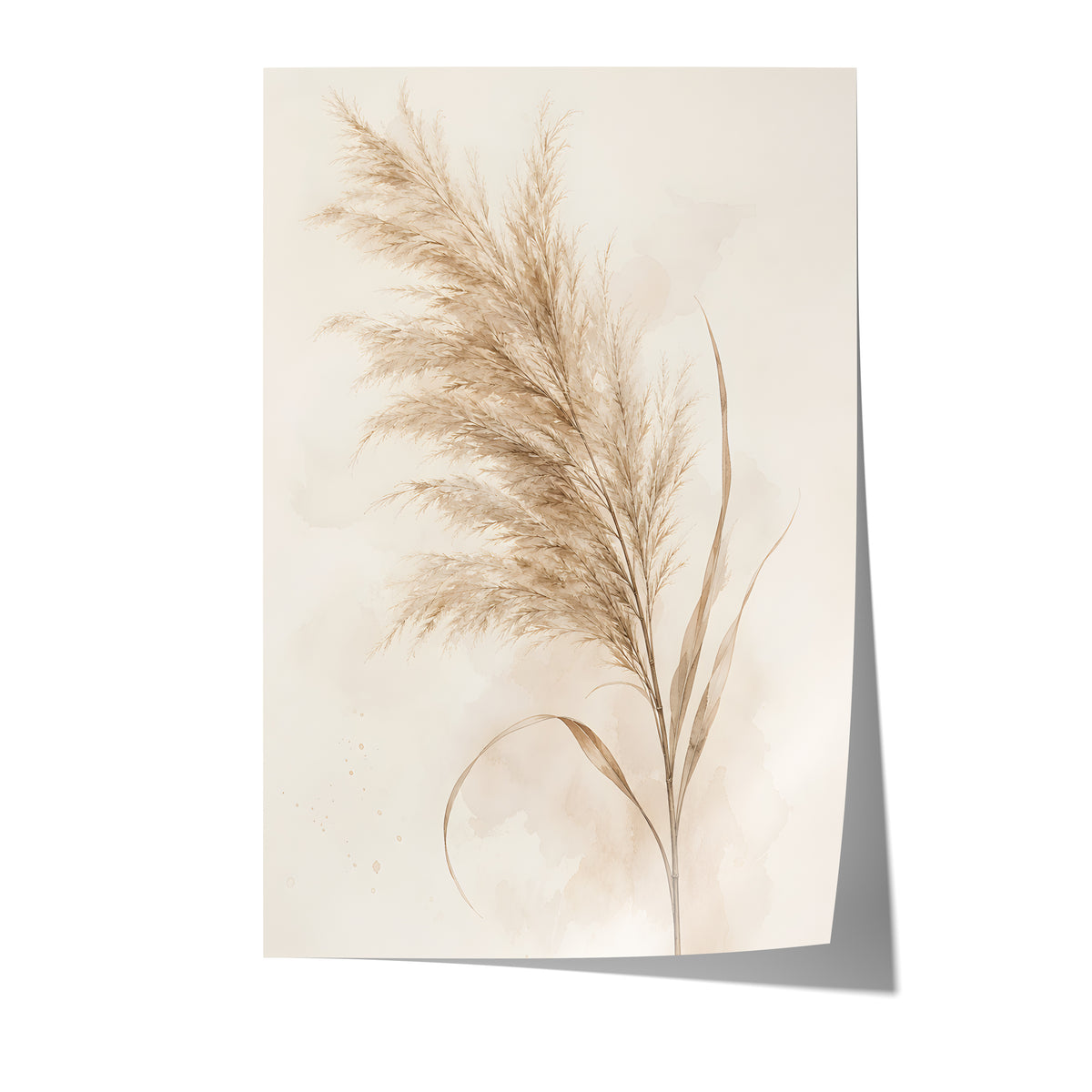 Poster mit einem einzelnen beigefarbenen Pampaswedel als zarte Aquarellillustration auf weißem Hintergrund.