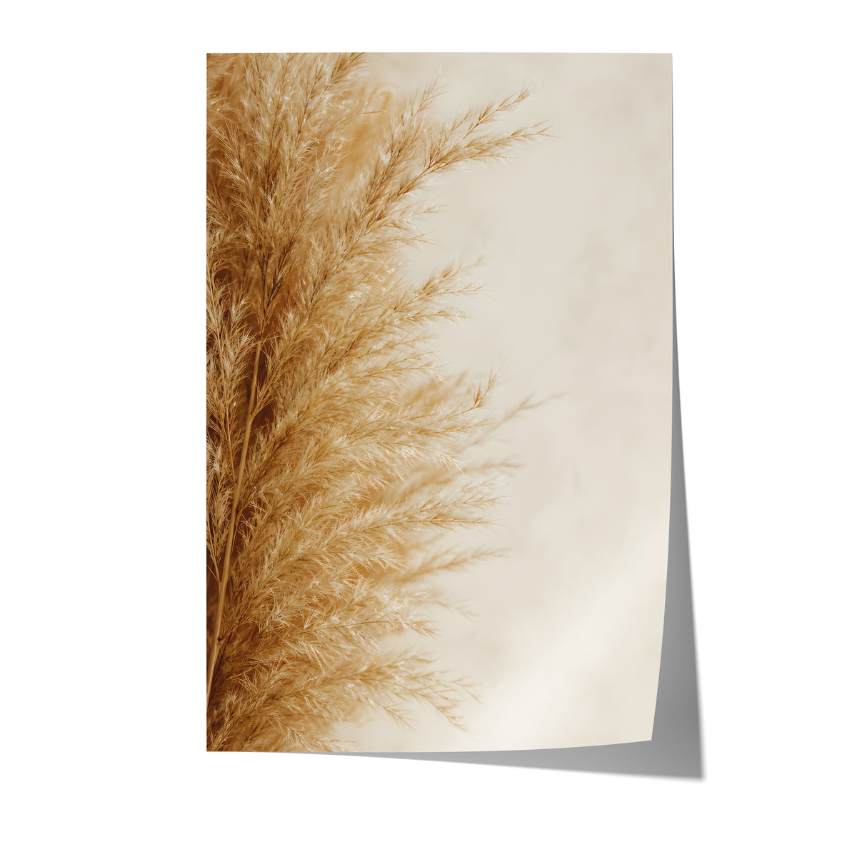 Poster mit goldbeigen Pampasfasern am linken Rand vor hellem Hintergrund auf weißem Hintergrund.