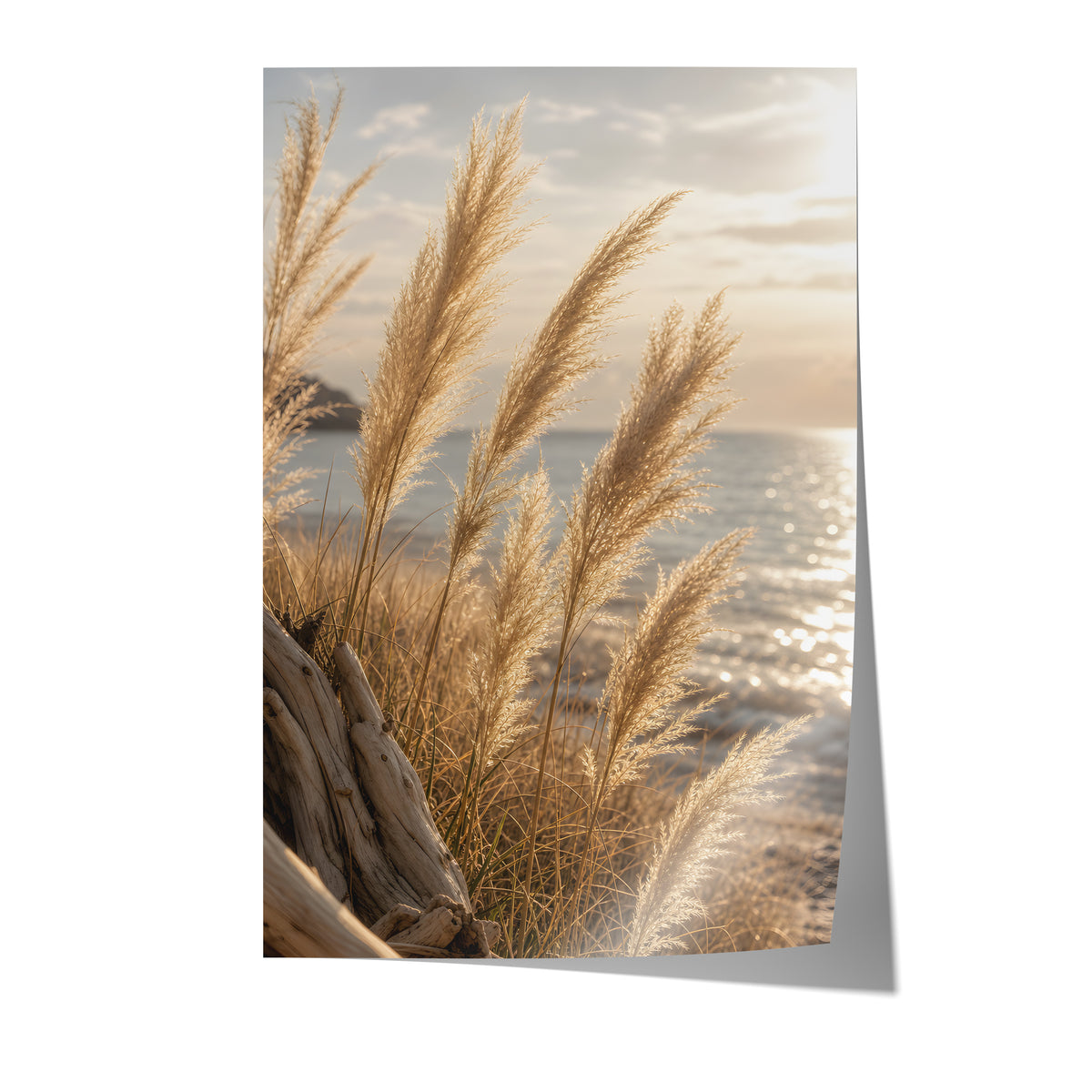 Poster mit goldenen Pampasgräsern vor glitzerndem Meer im Abendlicht auf weißem Hintergrund.