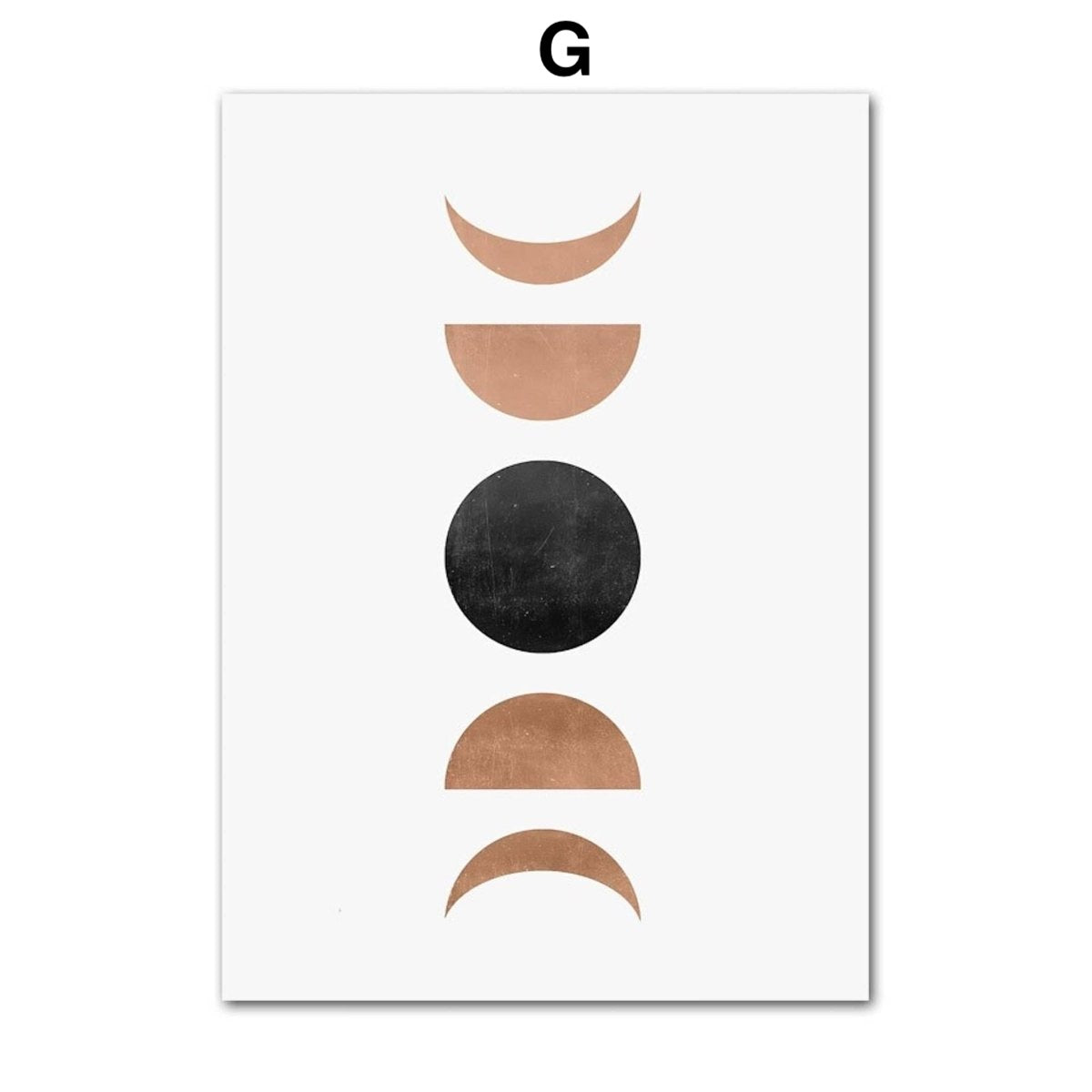 Poster Pflanzen Kugeln und Linien als Deko Print ohne Rahmen