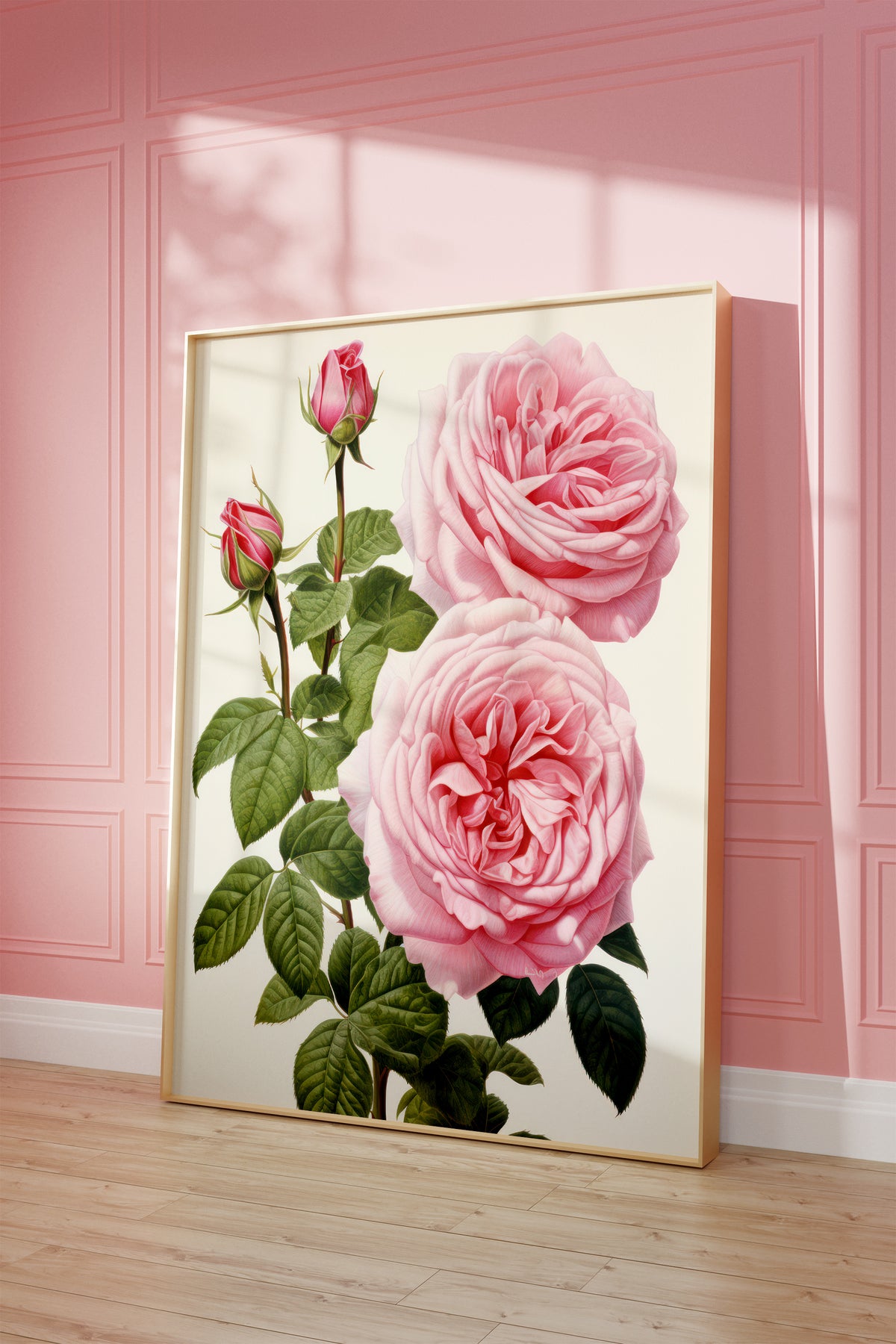 Gerahmtes Poster vor einer rosa Wand mit warmen Fensterschatten. Motiv: Botanische Darstellung rosa Rosen mit Knospen und grünen Blättern.