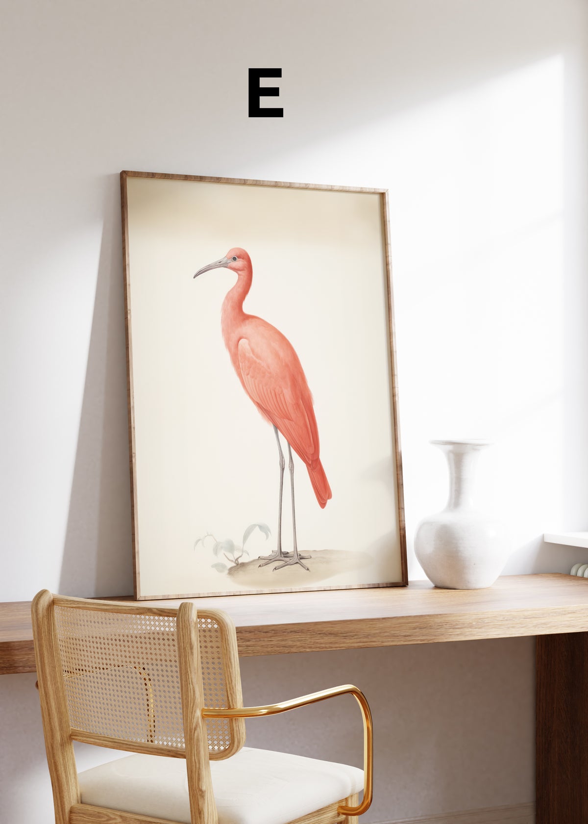 Postermotiv E: Roter Ibis mit langem gebogenem Schnabel vor cremefarbenem Hintergrund. Im Holzrahmen auf einem Schreibtisch.