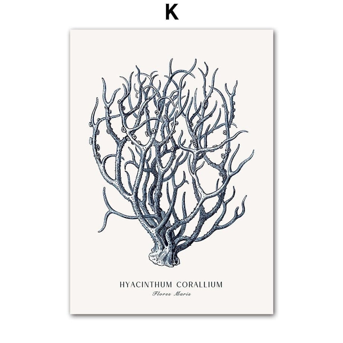 Poster Strand Hütte · Muscheln · Korallen · Ozean · Meer als Deko Print ohne Rahmen