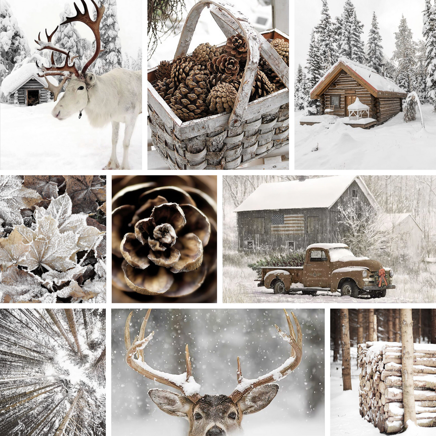 Poster Winter Holz Hütte im Schnee Rentier Tannenzapfen · Bilder Wohnzimmer · Wandbilder Schlafzimmer · Deko Print ohne Rahmen