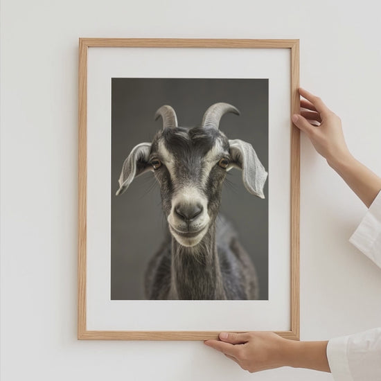 Niedliche Ziegen Poster · Geschenkidee · Ziegen, Zicklein und Lämmer · Dekoprint ohne Rahmen