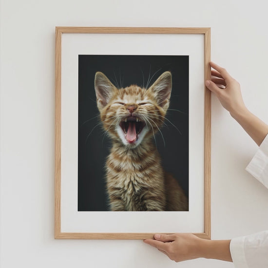 Lustige Haustier Poster · Geschenkidee · Chihuahua mit Brille Hunde und Katze · Dekoprint ohne Rahmen