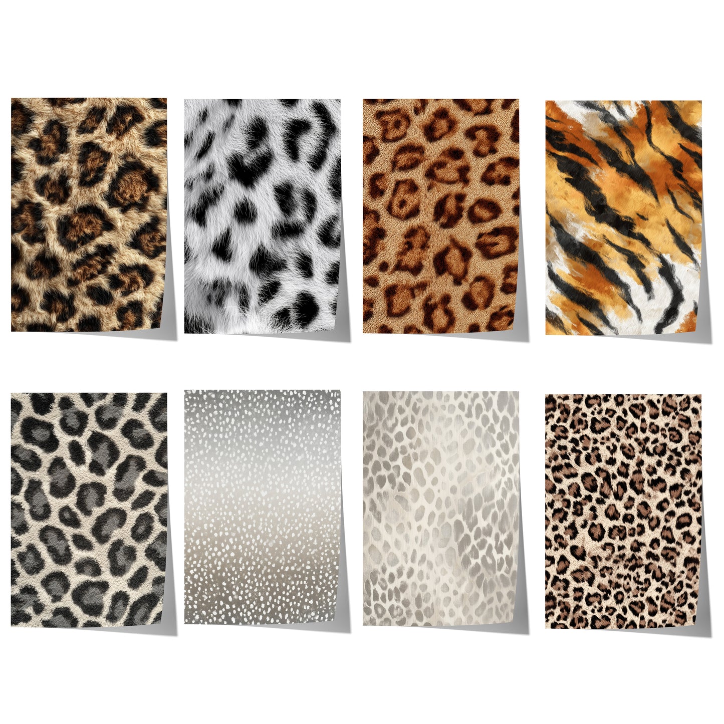 Tiermuster Poster · Geschenkidee · Vielfältige Raubkatzen und Wildtier Fell Texturen Leopard Muster · Dekoprint ohne Rahmen