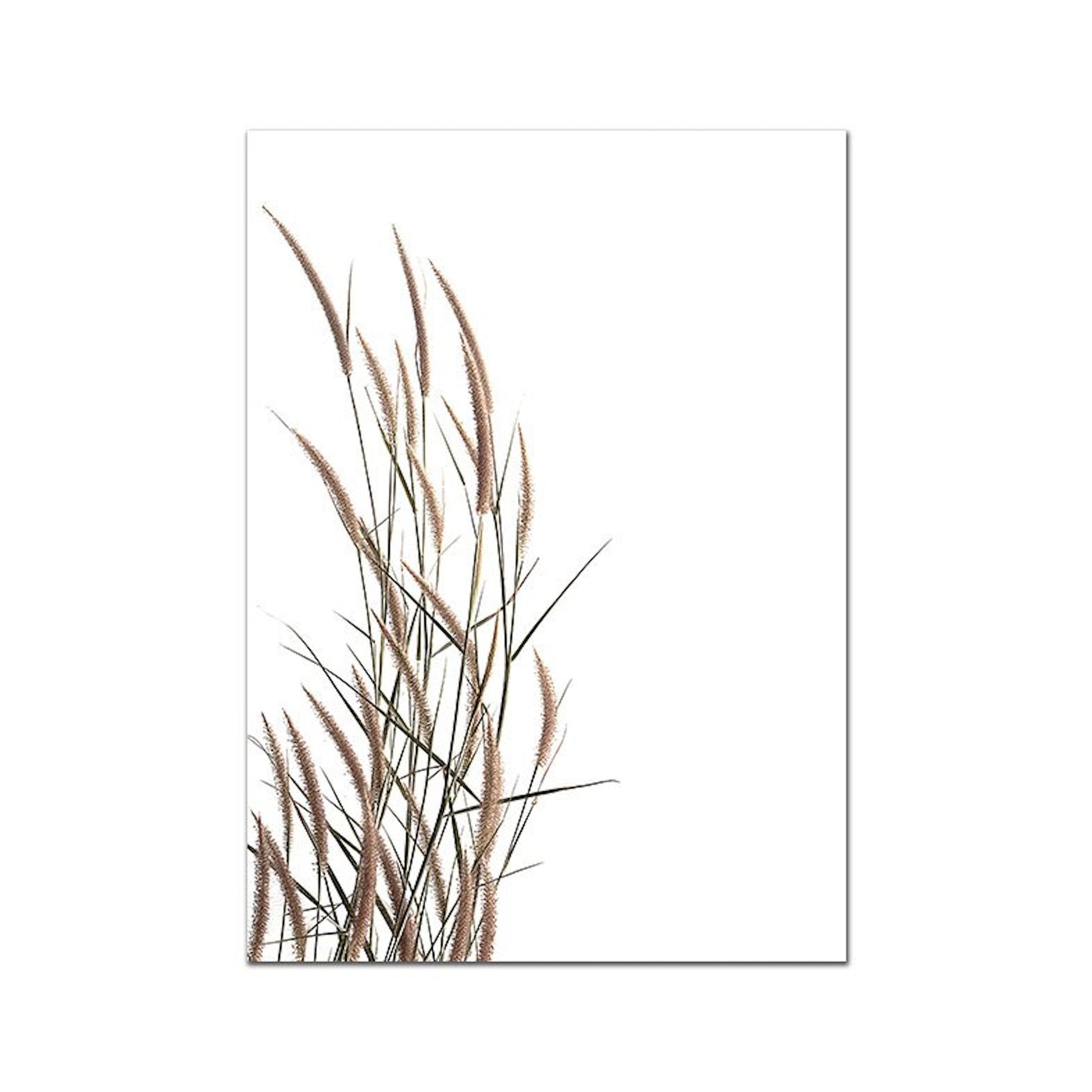 Ein wunderschönes Kunstposter von justgoodmood mit eleganten trockenen Gräsern in sanften Farbtönen. Ideal für eine kreative Wandgestaltung in Wohnzimmer oder Schlafzimmer und perfekt zur Ergänzung des Posters 'Indianerin in der Wüste'.