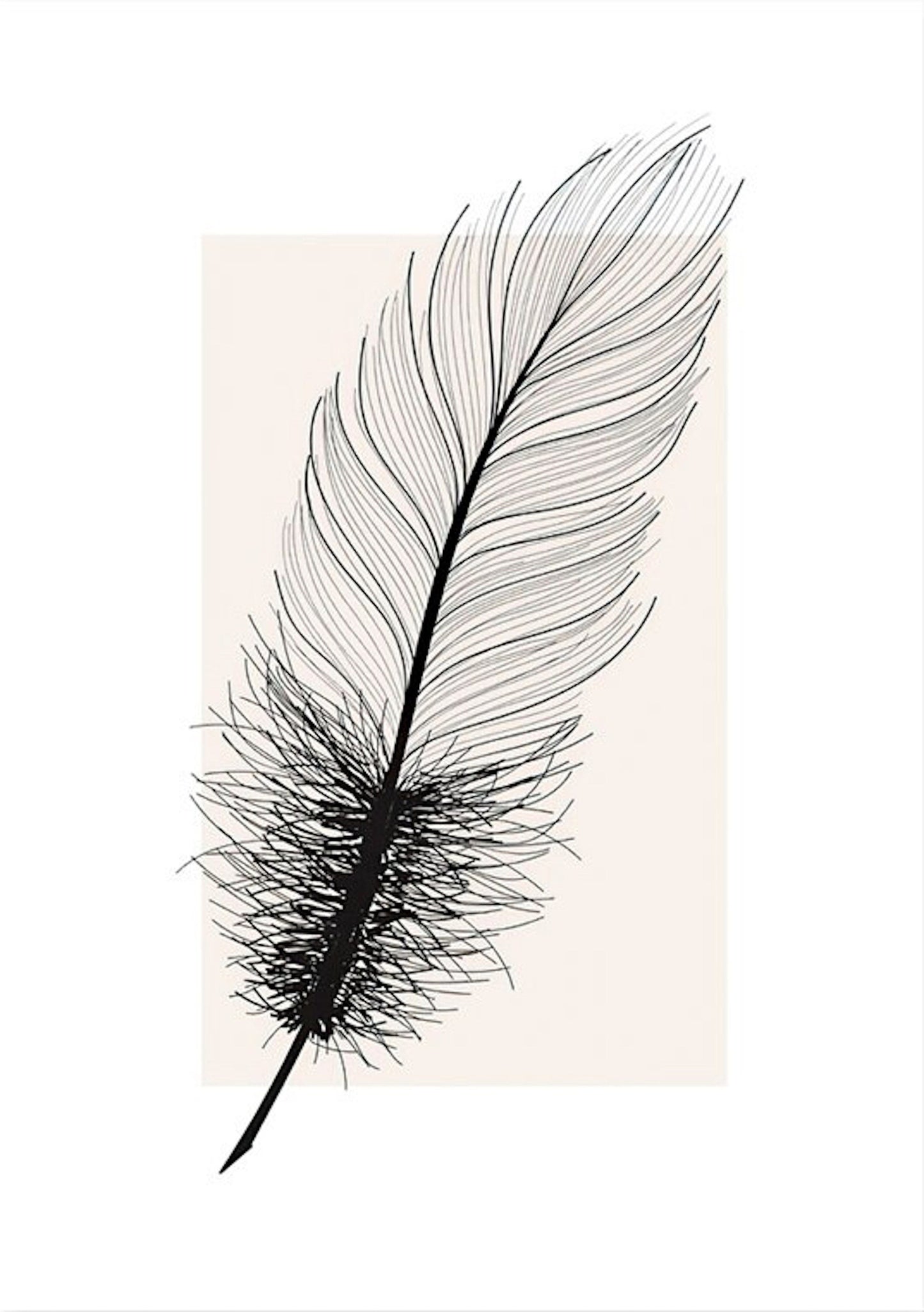 Poster black feather as a decorative print without a frame