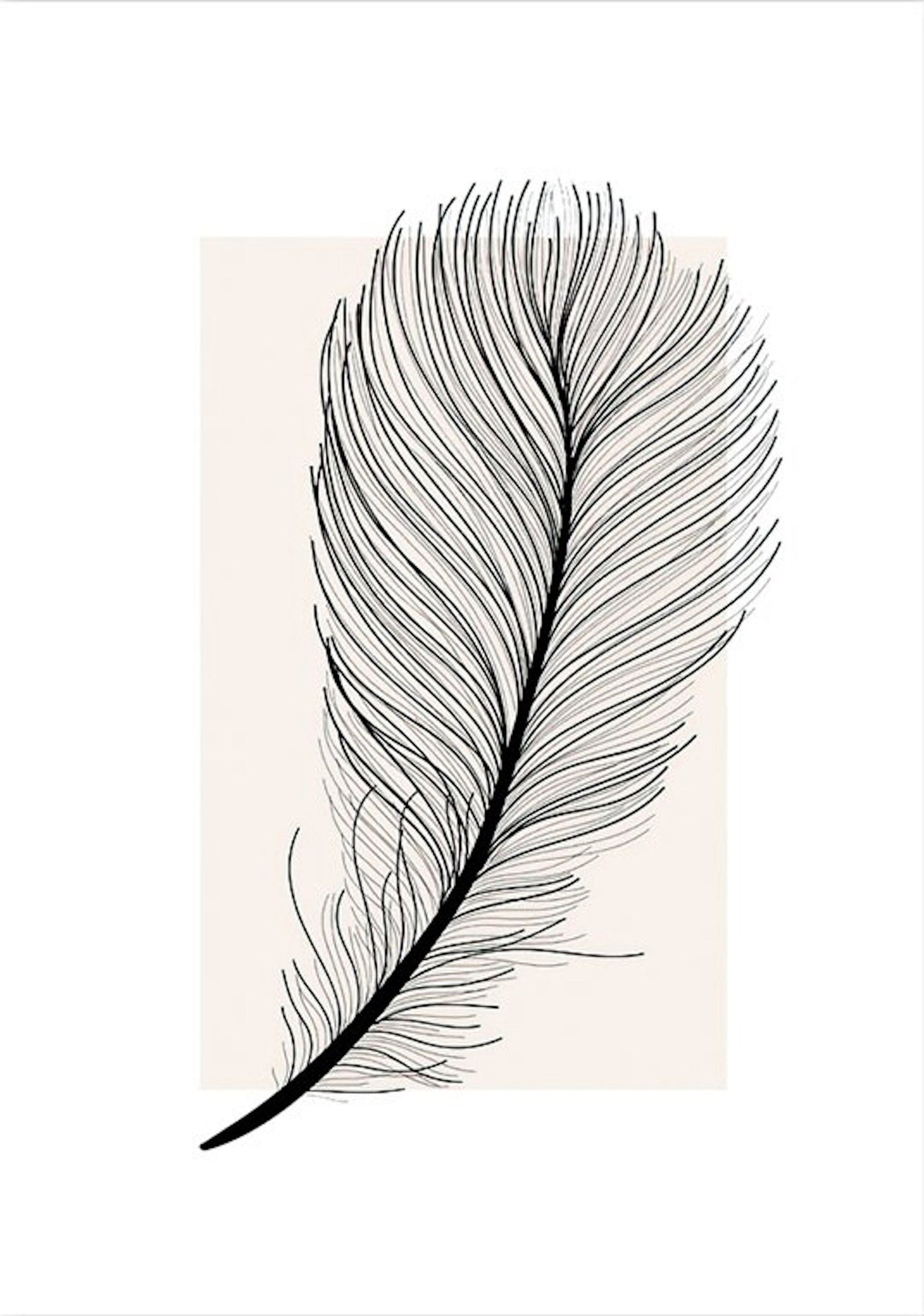 Poster black feather as a decorative print without a frame