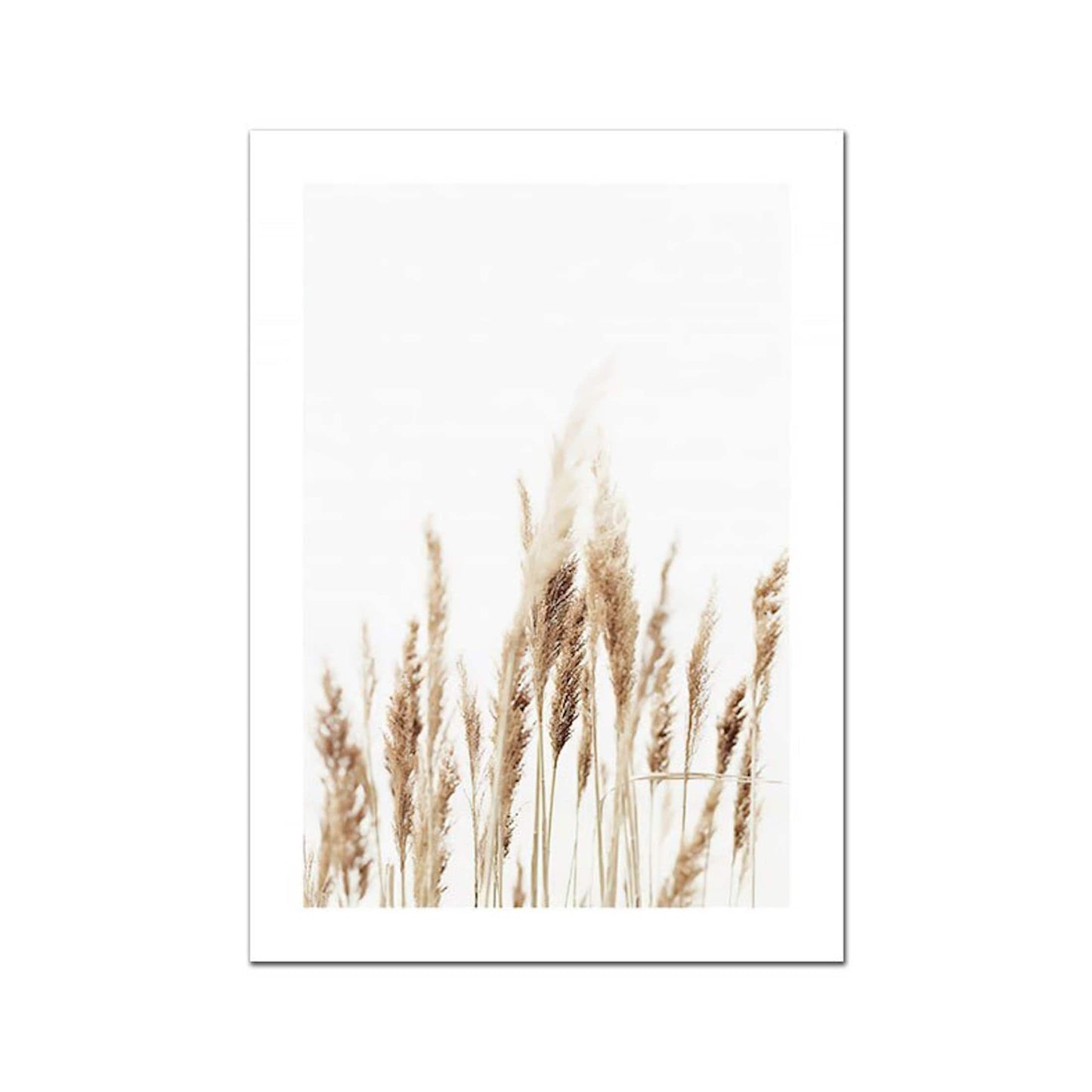 Poster sunrise on the beach shells and pampas grass as a decorative print without a frame