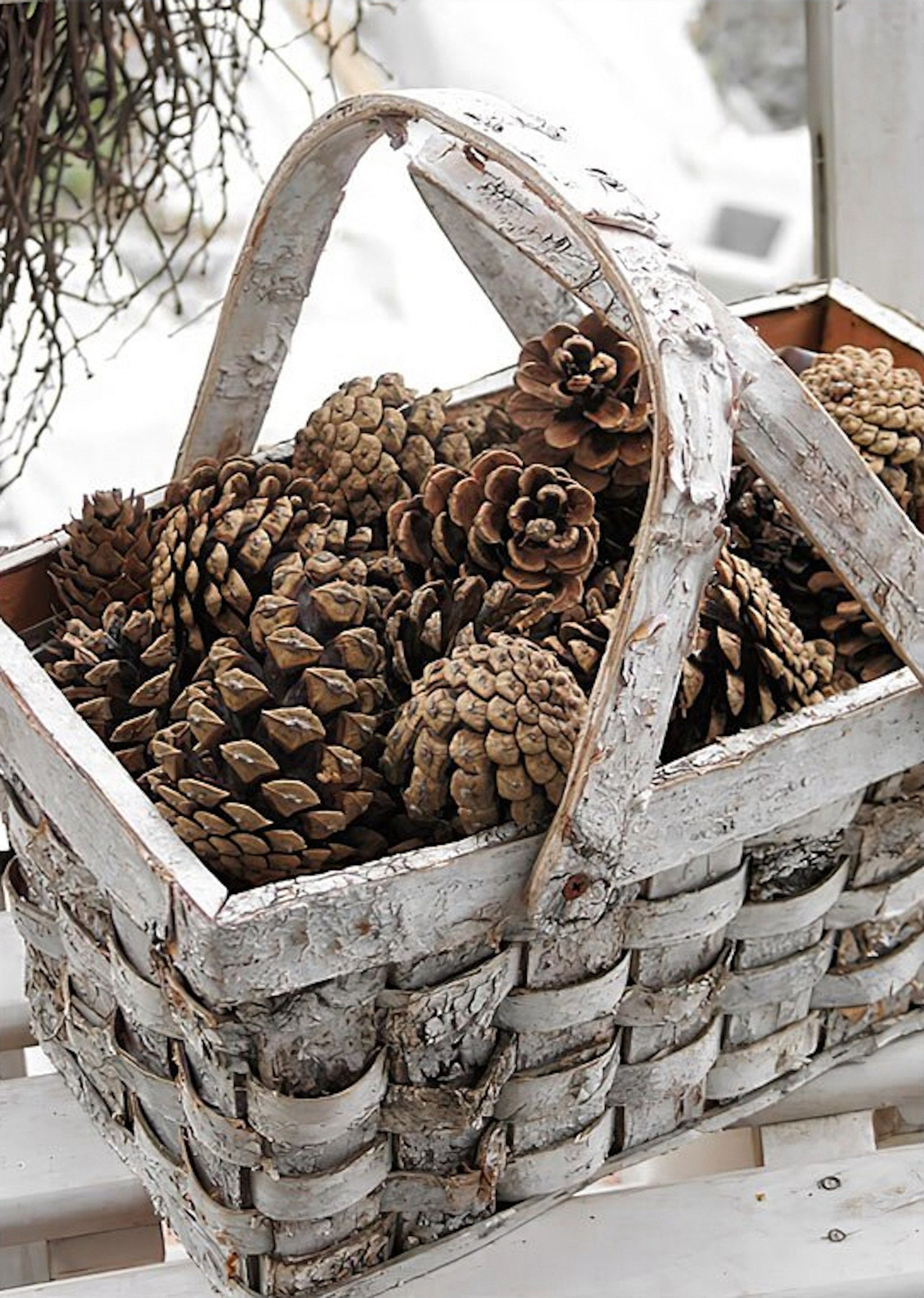Ein Korb voller Tannenzapfen, ideal für herbstliche und winterliche Dekoration, inspiriert von unserem Poster "Winter Tannenzapfen Baumstämme Frostblätter" von justgoodmood.