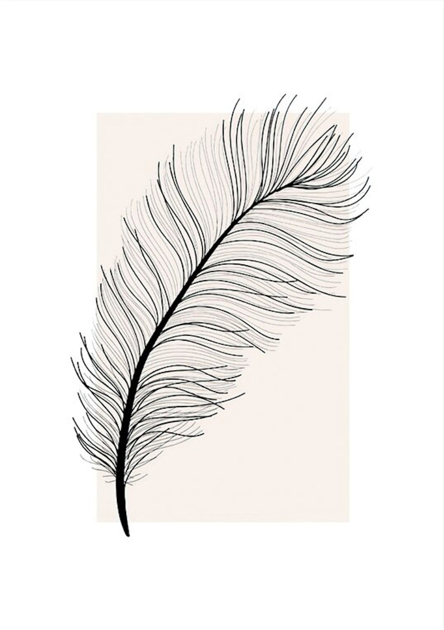 Poster black feather as a decorative print without a frame