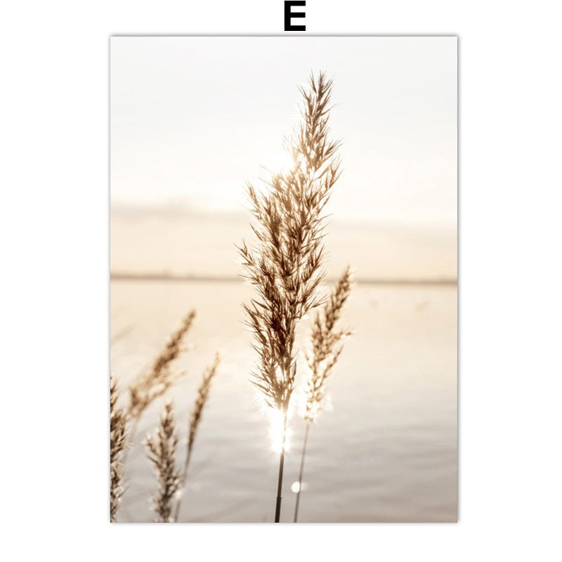 Wunderschöne Lichtstrahlen über hohen Gräsern, abgebildet im Poster Pampasgras Beige Blätter von justgoodmood, eine perfekte Ergänzung für Ihr Zuhause.