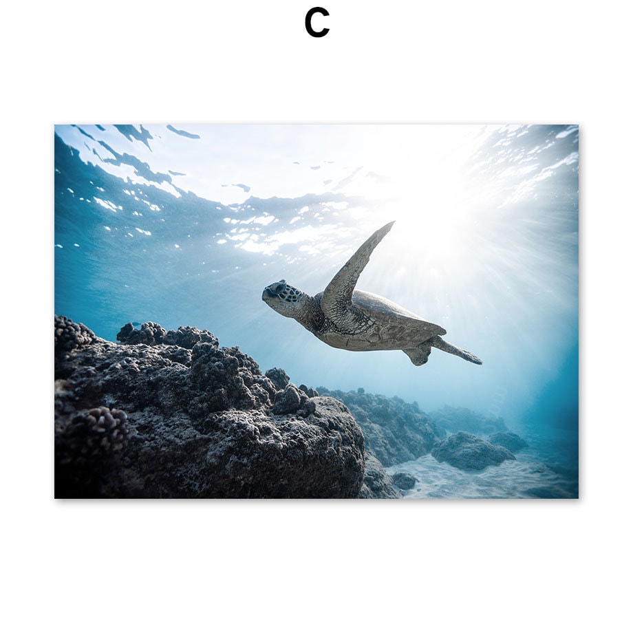 Poster Unterwasser Welt Taucher Schildkröte I Wandbilder Wohnzimmer & Schlafzimmer I Deko Print Bilder I ohne Rahmen