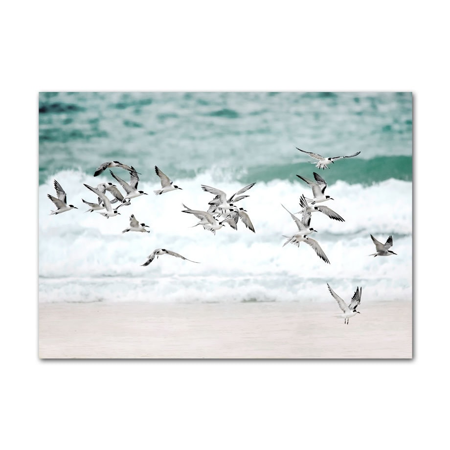 Poster Surfbrett Strand Buggy Palmen Meer I Wandbilder Wohnzimmer & Schlafzimmer I  Wand Deko I Kunst Druck I ohne Rahmen