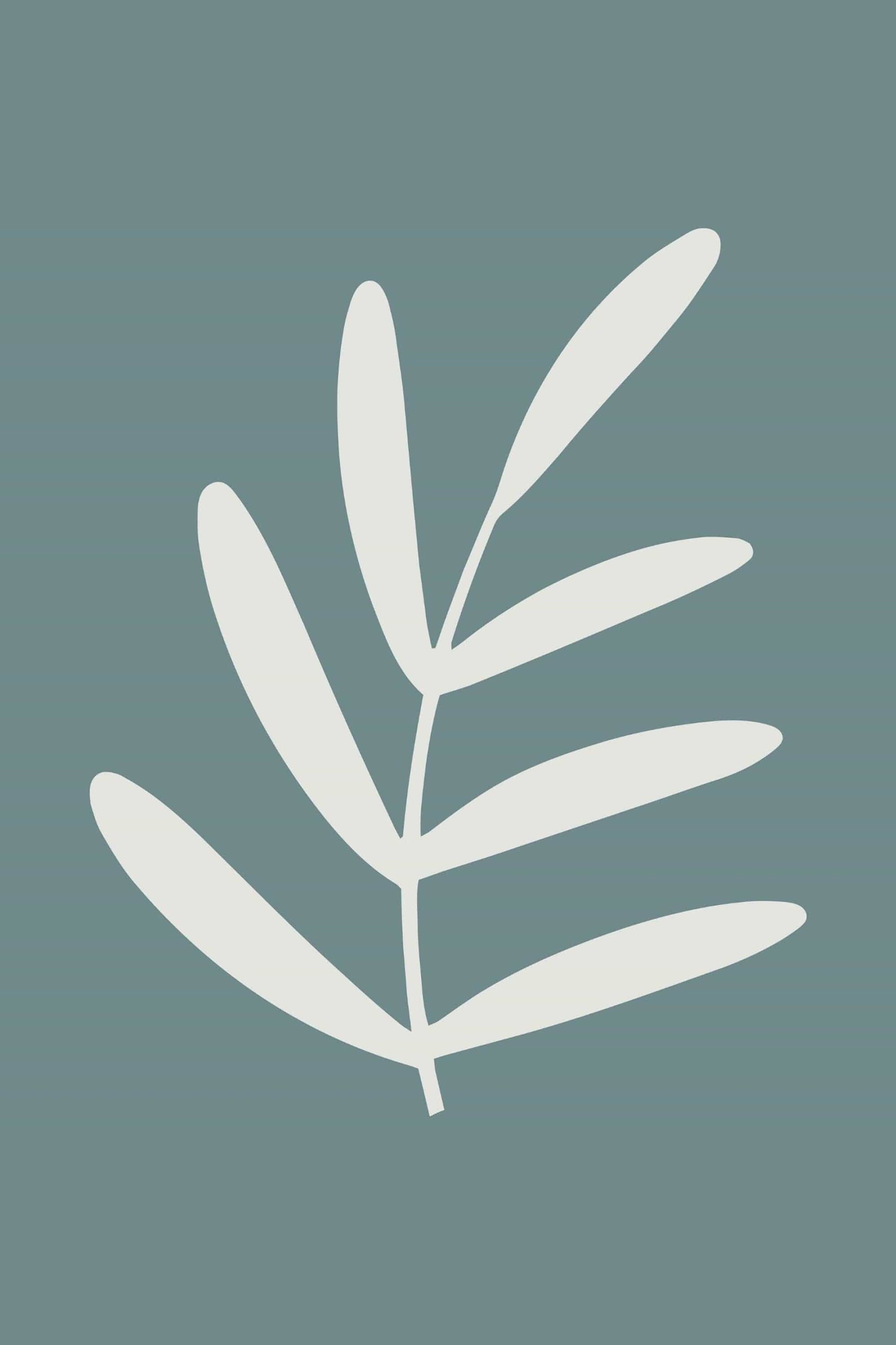Poster Boho Modern Minimalistisch I Linien Sterne Sonne Bogen Palme Blatt I Wand Deko I Kunstdruck I Deko Print ohne Rahmen - justgoodmood