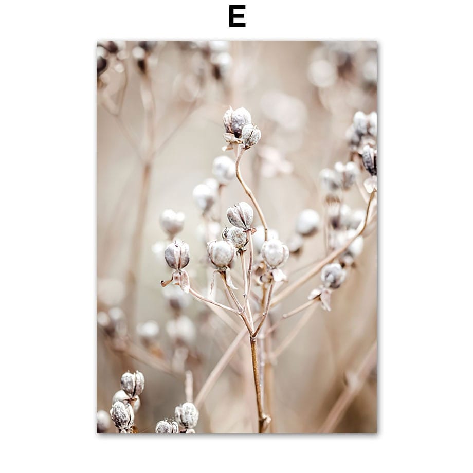 Poster Meer Pampasgras Beige I Wandbilder Wohnzimmer & Schlafzimmer I Deko Print Bilder I ohne Rahmen - justgoodmood