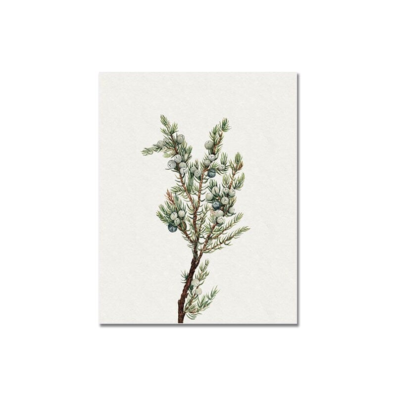 Poster Vintage Blumen und Sightseeing mit dem Boot als Deko Print ohne Rahmen - justgoodmood